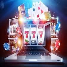 556bet login