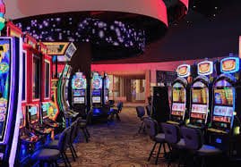 556bet login
