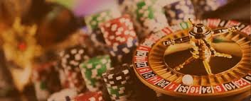 556bet login