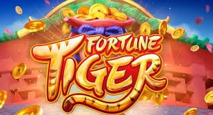 556bet login