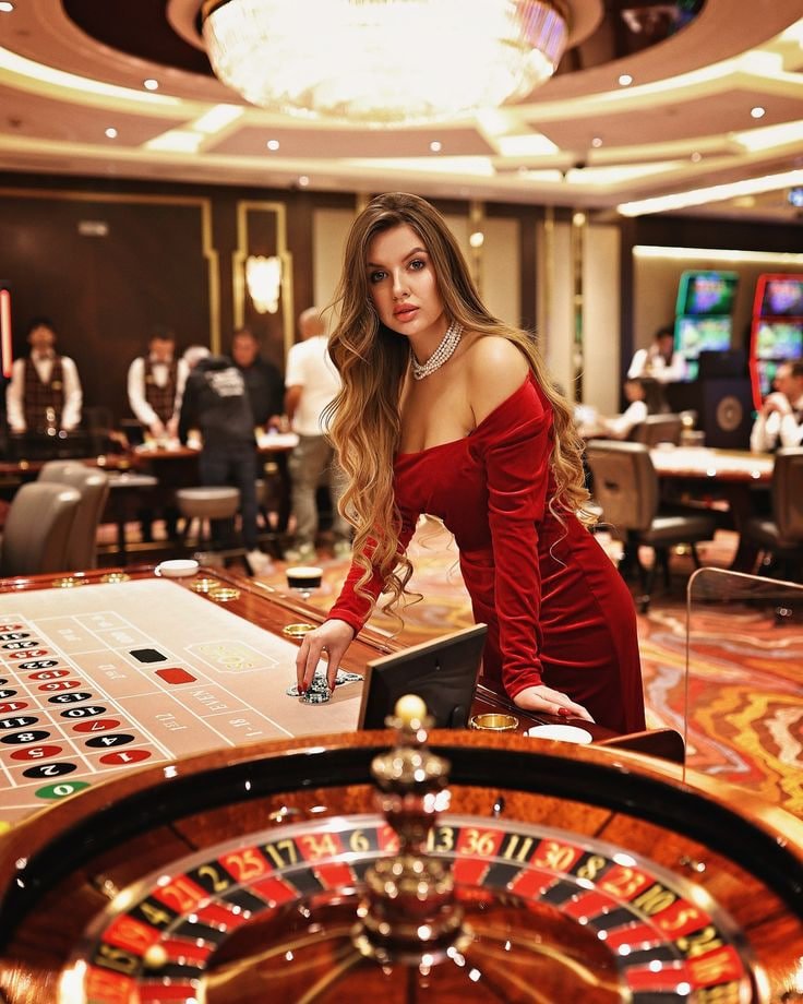556bet login