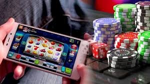 556bet login