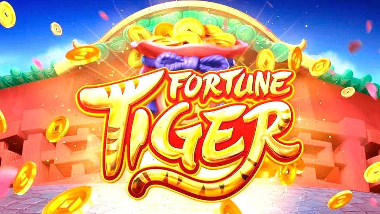 556bet login